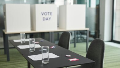 Person casting ballot in private voting booth during election
