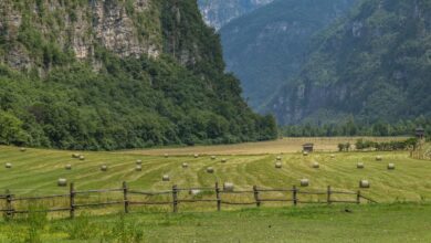Expansive Montana ranch with mountains in background showing the type of property billionaires are purchasing for bunker construction