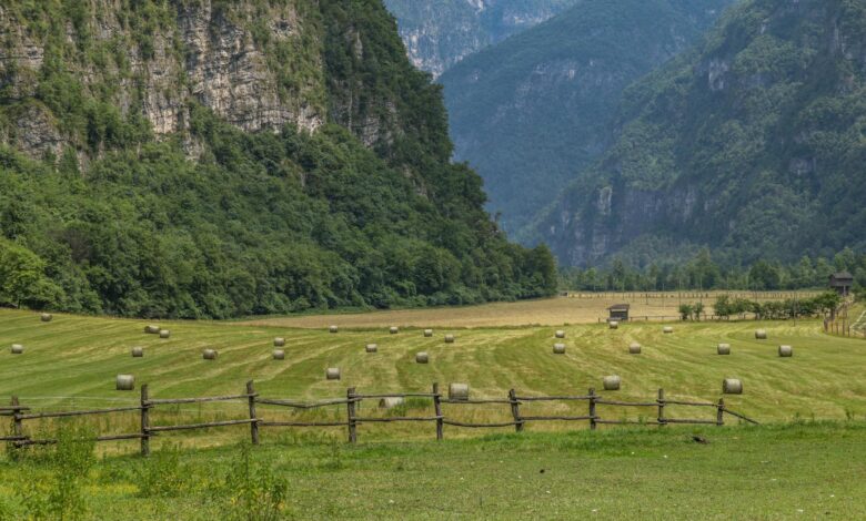 Expansive Montana ranch with mountains in background showing the type of property billionaires are purchasing for bunker construction