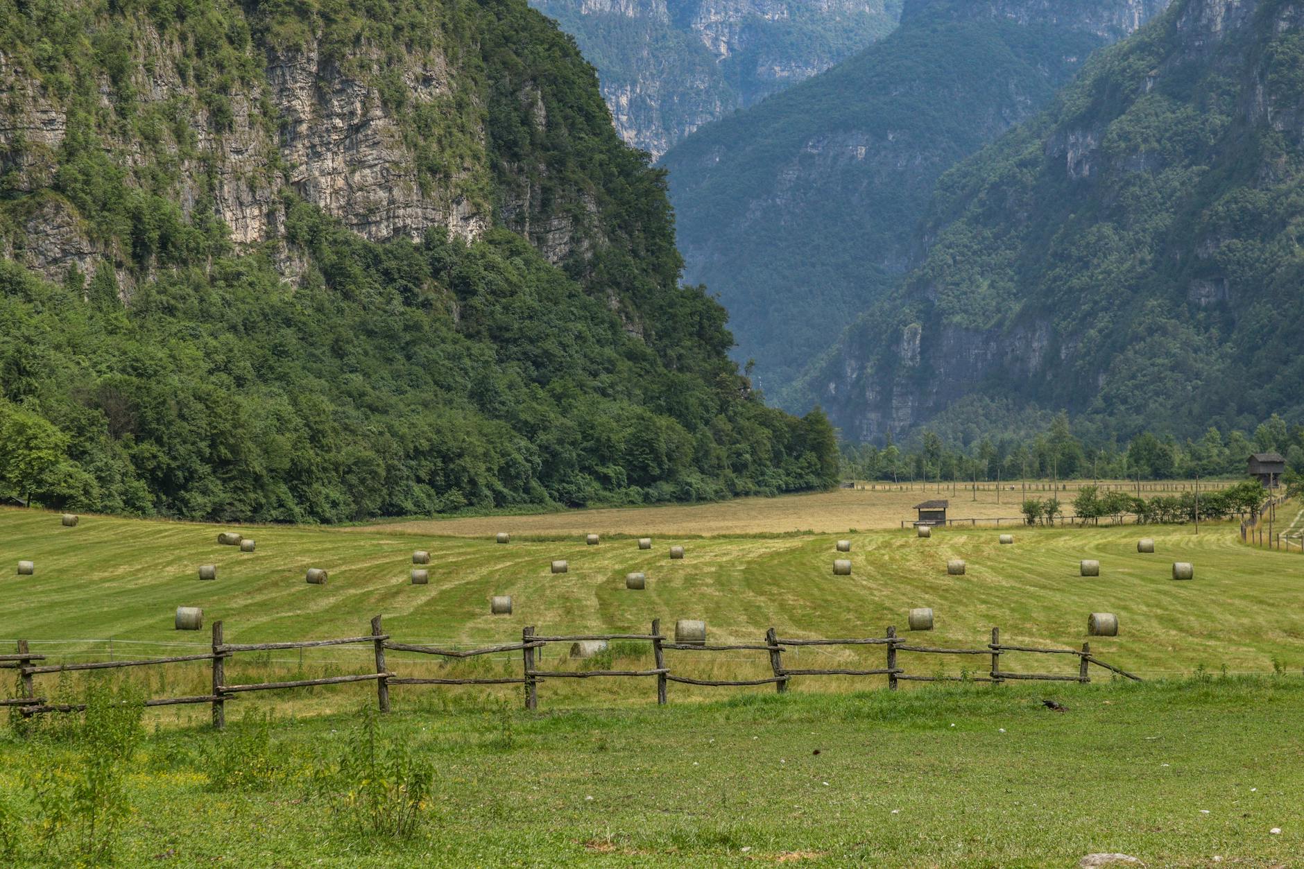 Expansive Montana ranch with mountains in background showing the type of property billionaires are purchasing for bunker construction
