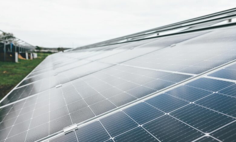 Solar panel installation showing renewable energy infrastructure