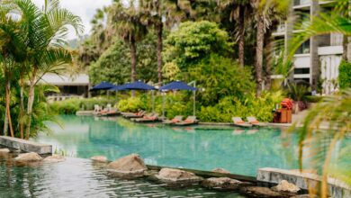 Modern resort pool area with upscale amenities and landscaping