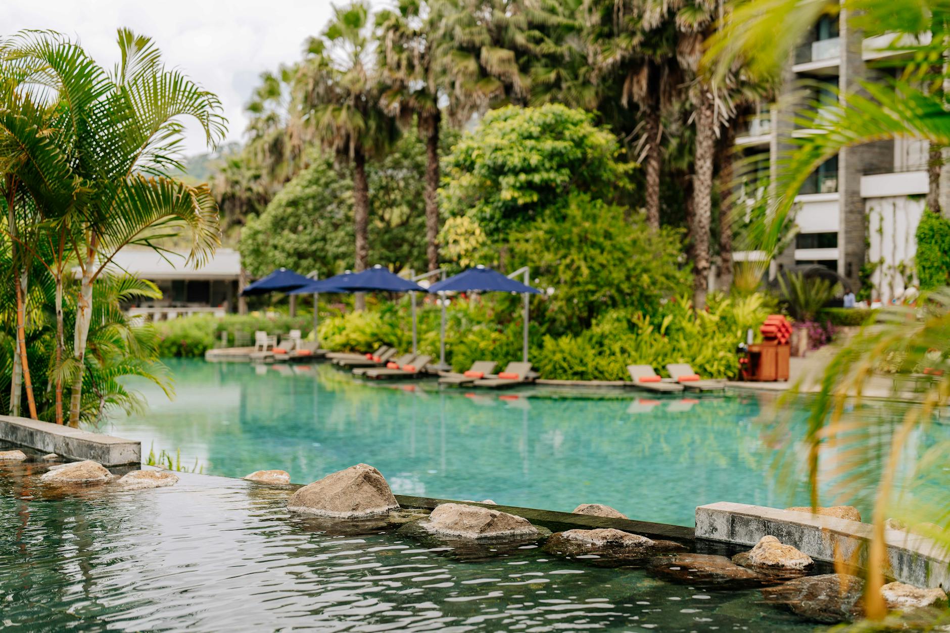 Modern resort pool area with upscale amenities and landscaping