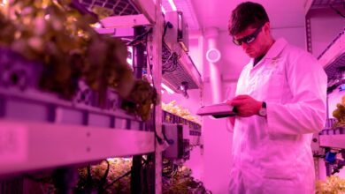Modern indoor vertical farming facility with stacked growing towers and LED lighting systems