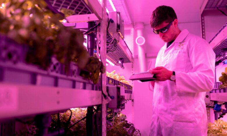 Modern indoor vertical farming facility with stacked growing towers and LED lighting systems