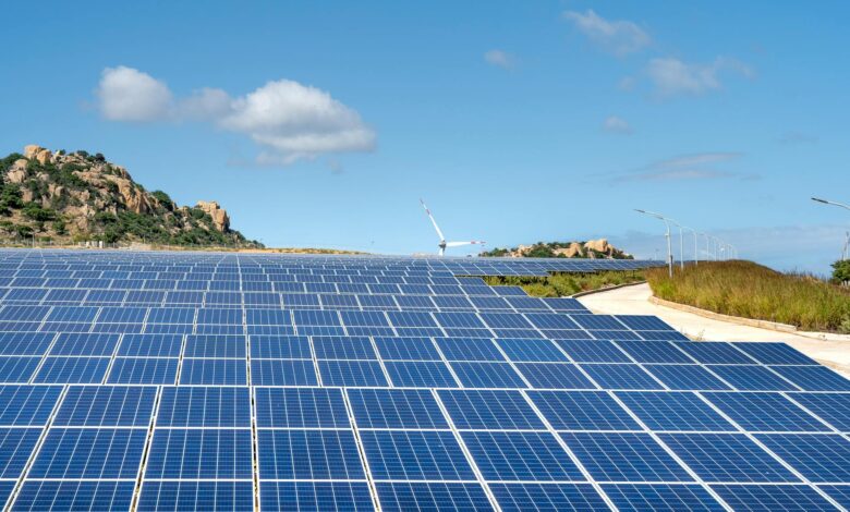 Large solar panel installation in open field representing renewable energy investments