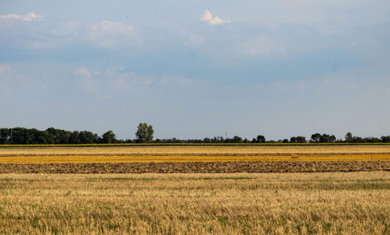 Aerial view of Midwest agricultural farmland with organized crop rows and rural landscape