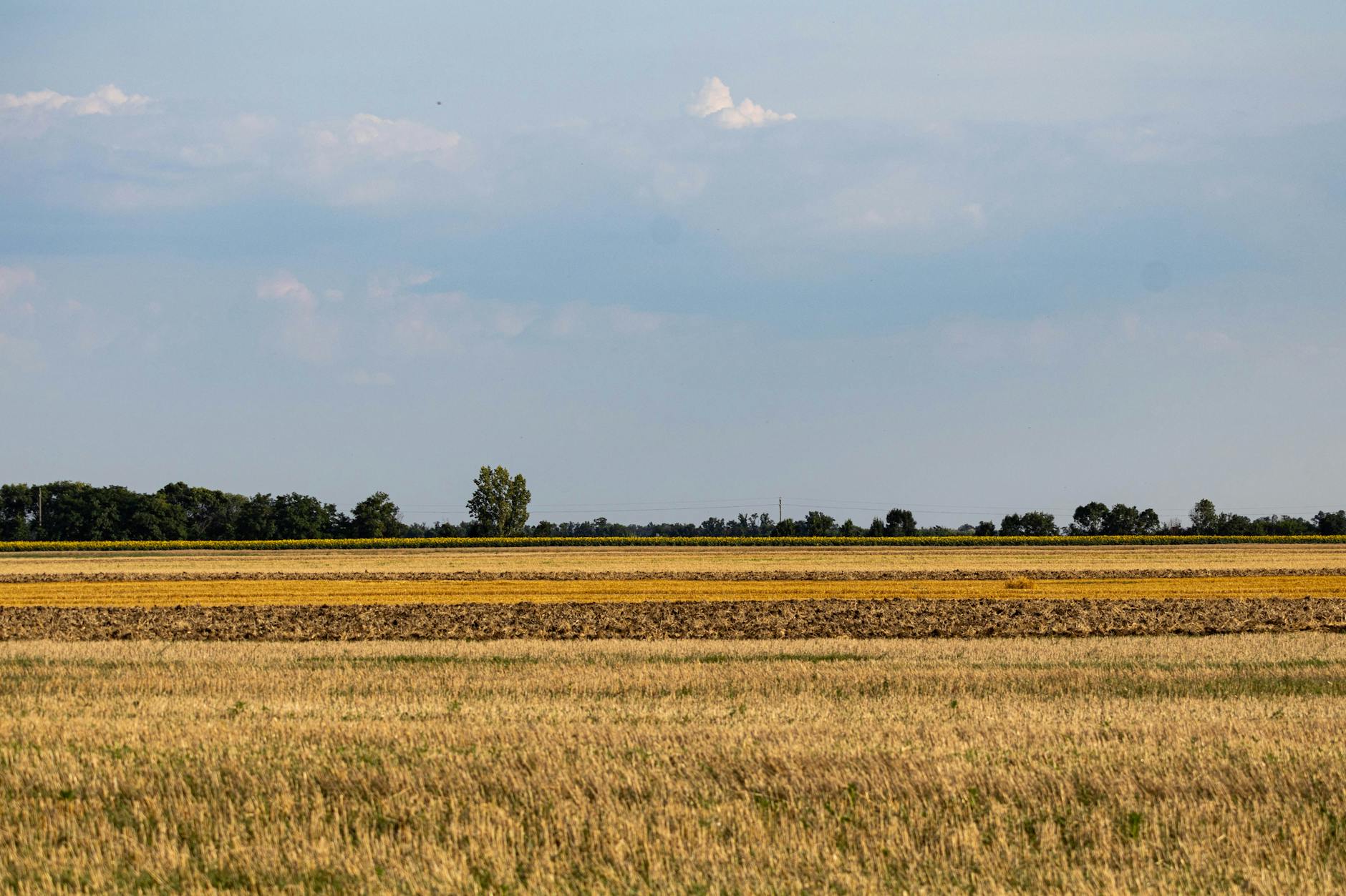 Aerial view of Midwest agricultural farmland with organized crop rows and rural landscape