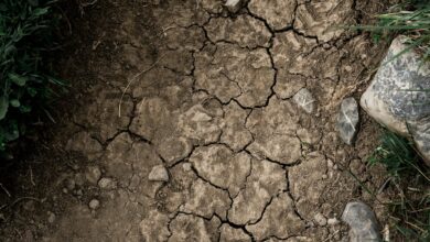 Aerial view of cracked, dry earth showing the effects of severe drought conditions