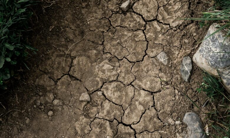 Aerial view of cracked, dry earth showing the effects of severe drought conditions