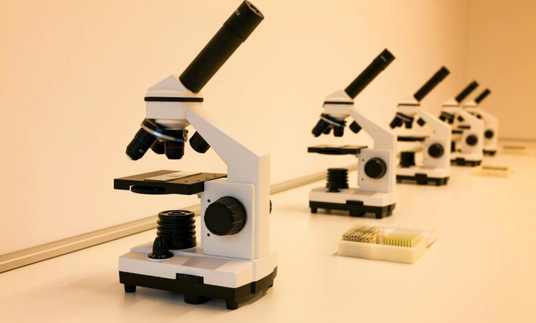 Modern laboratory with scientific equipment for materials testing and analysis