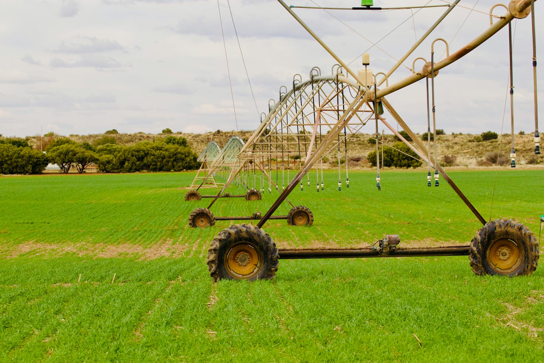 Modern irrigation system watering crops in agricultural field