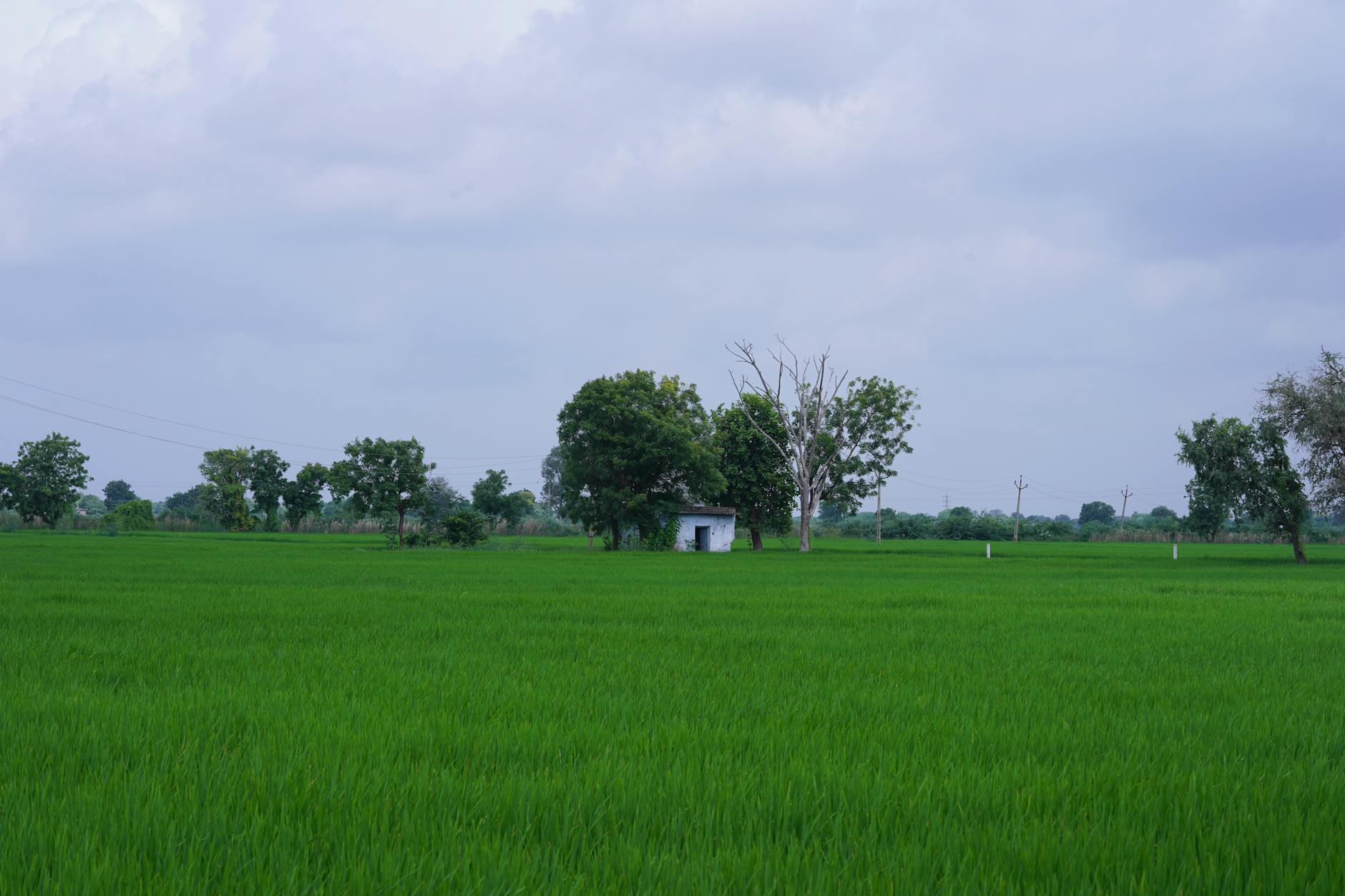 Rural countryside view with rolling hills and farmland