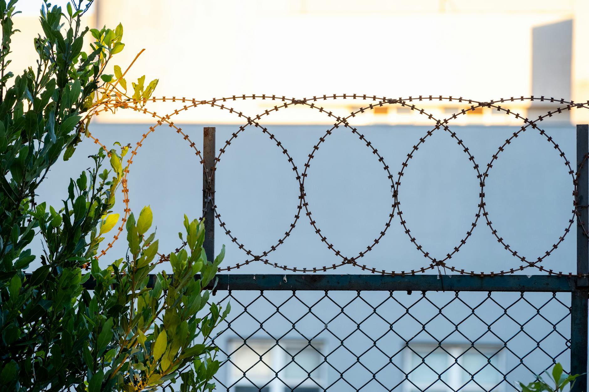 Chain link security fence along border area with mountains in background