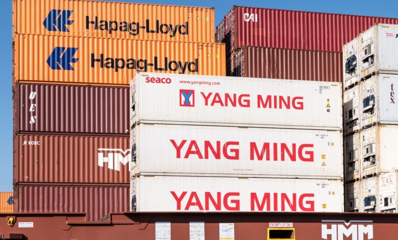 Rows of stacked intermodal shipping containers at a commercial port