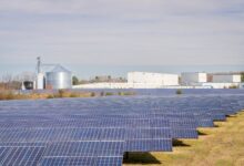 Large solar panel array in an open field representing clean energy project development