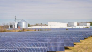 Large solar panel array in an open field representing clean energy project development