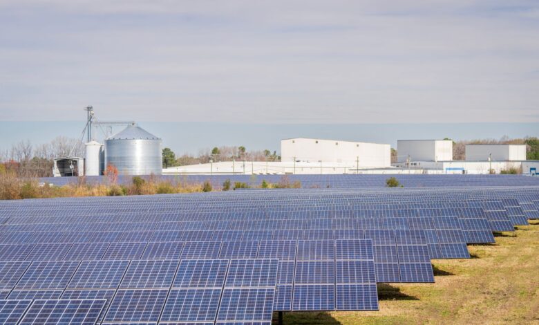 Large solar panel array in an open field representing clean energy project development
