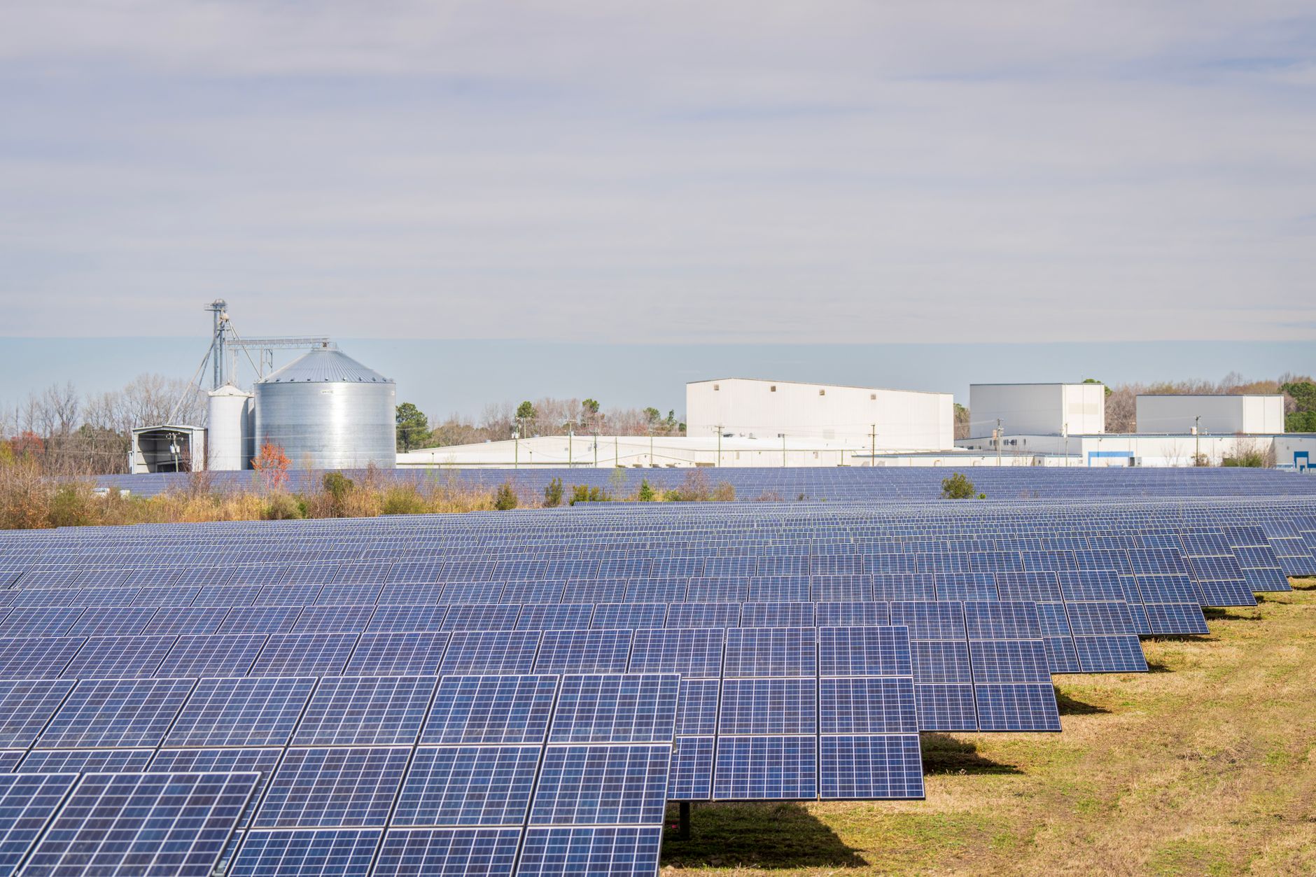 Large solar panel array in an open field representing clean energy project development