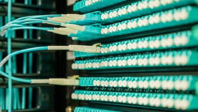 Close-up of fiber optic cables bundled together in an underground conduit