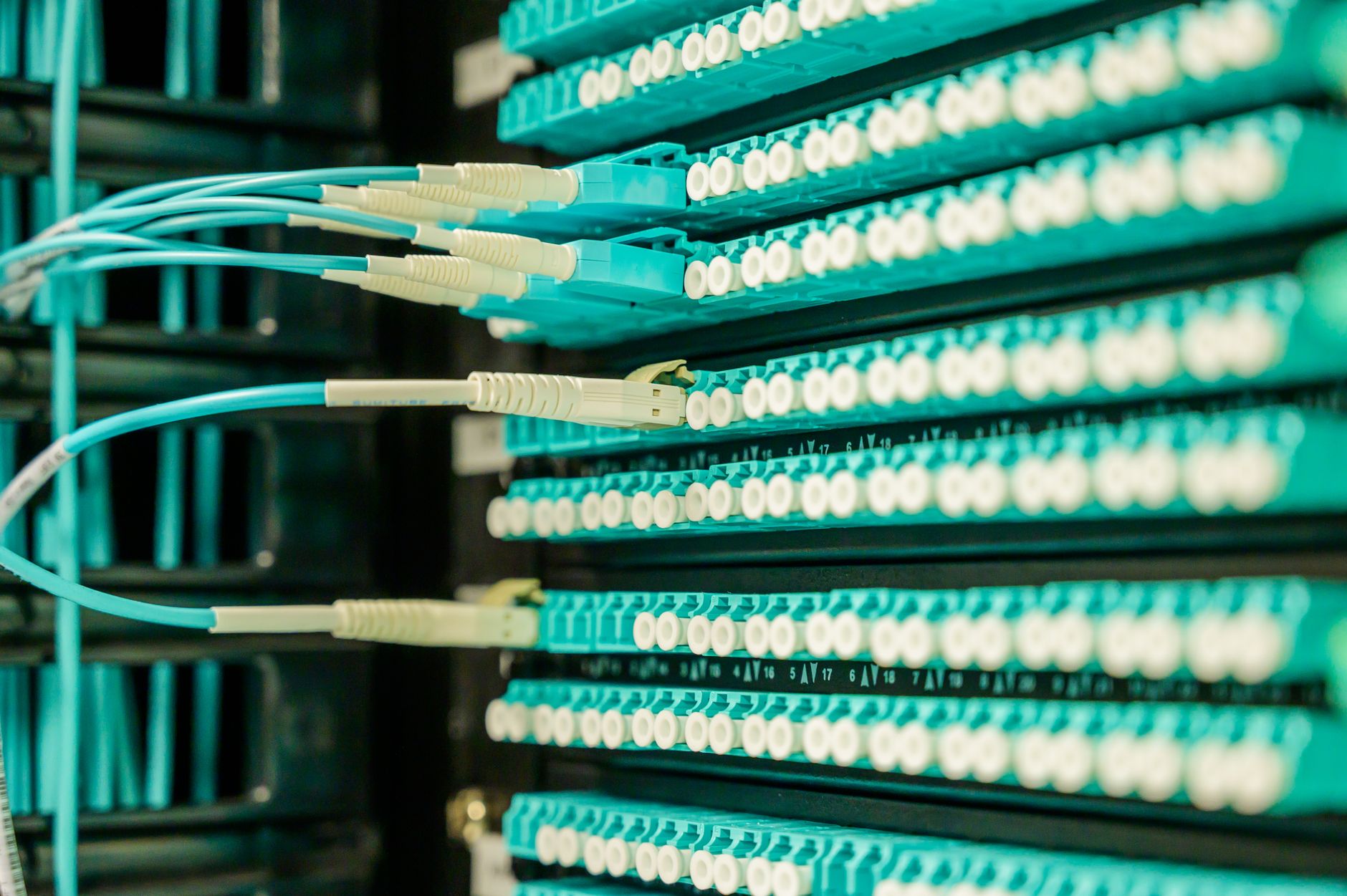 Close-up of fiber optic cables bundled together in an underground conduit