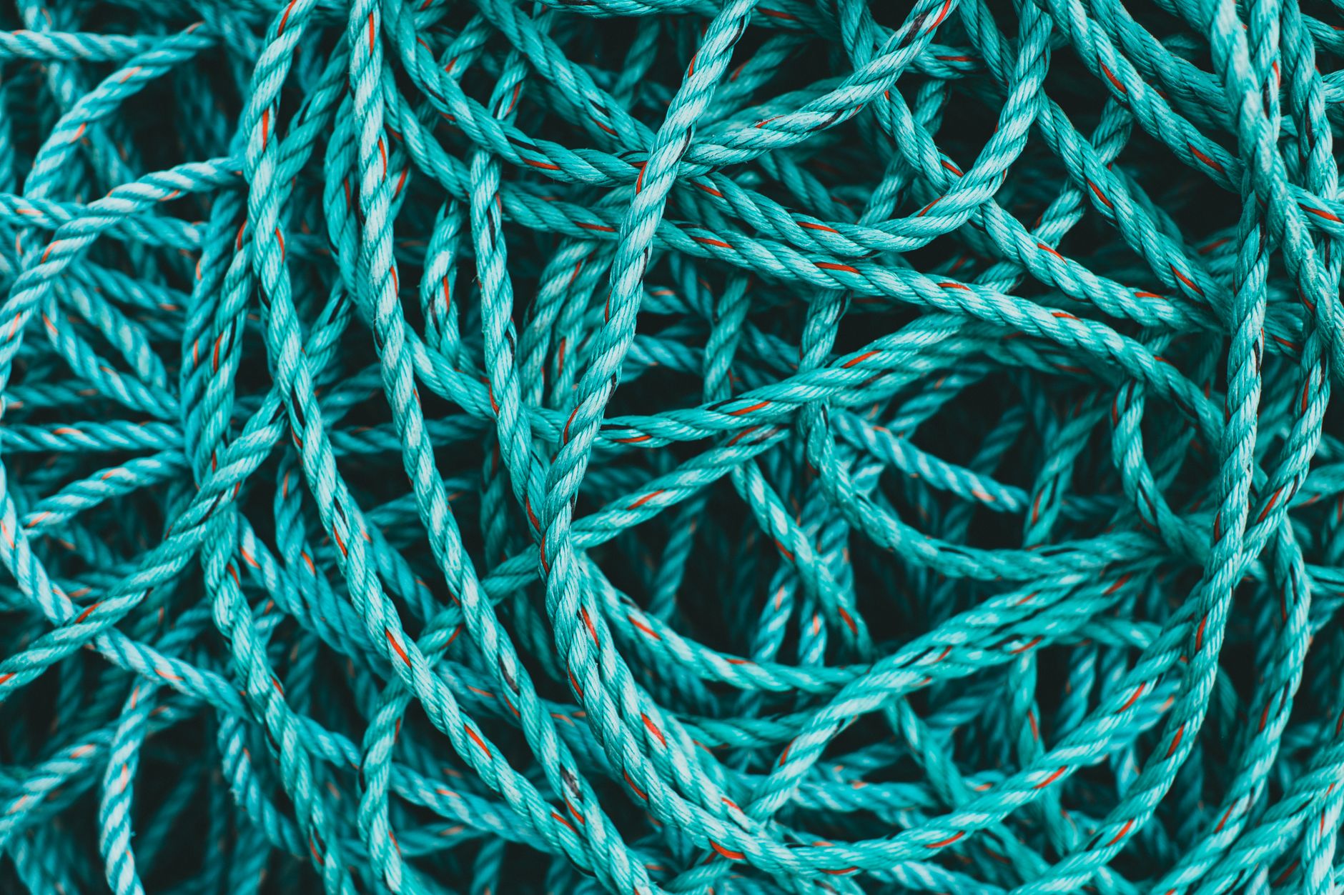 Subsea fiber optic cable on the ocean floor representing global internet infrastructure