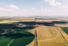 Aerial view of agricultural farmland showing crop rows and field patterns