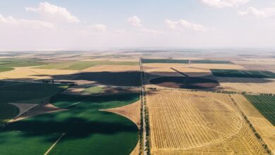 Aerial view of agricultural farmland showing crop rows and field patterns