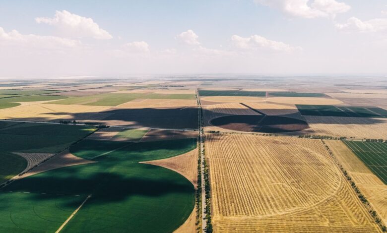 Aerial view of agricultural farmland showing crop rows and field patterns