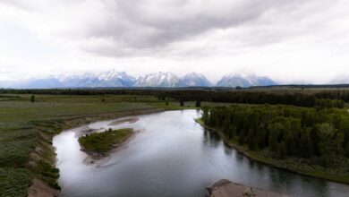 Wide river flowing through arid western landscape representing water rights and scarcity