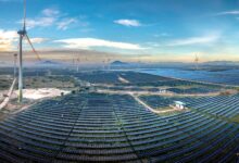 Aerial view of a large solar farm generating renewable energy