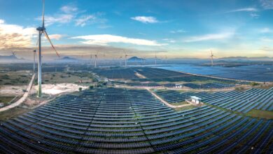 Aerial view of a large solar farm generating renewable energy