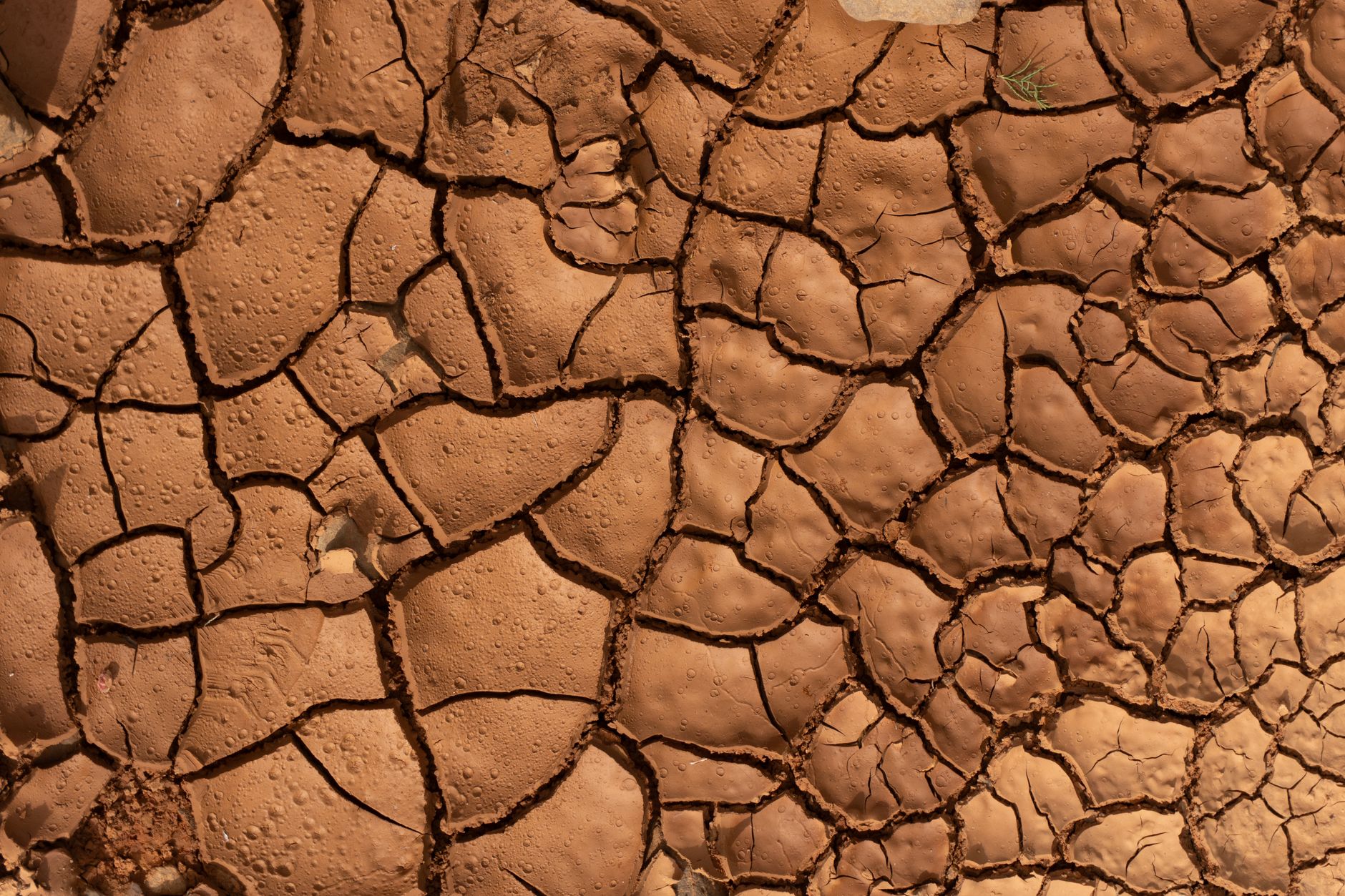Cracked dry earth illustrating water scarcity driving investment in water rights