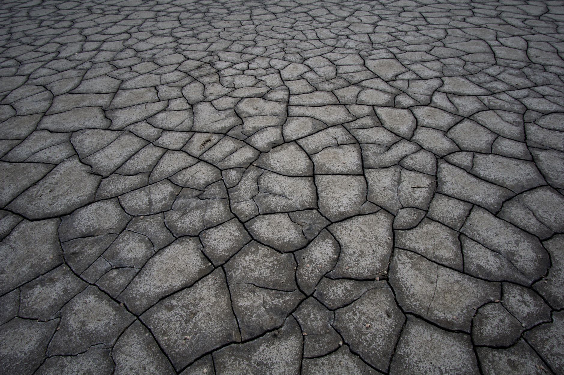 Dry cracked earth in an agricultural region showing water scarcity conditions