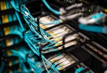 Close-up of fiber optic cables bundled together representing underground conduit infrastructure