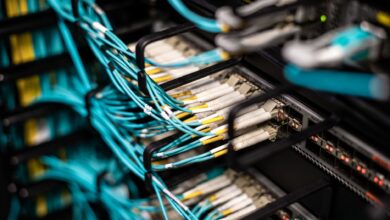 Close-up of fiber optic cables bundled together representing underground conduit infrastructure