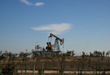 Oil pump jack operating in an open field at sunset, representing crude oil production and royalty income streams