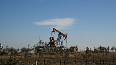 Oil pump jack operating in an open field at sunset, representing crude oil production and royalty income streams