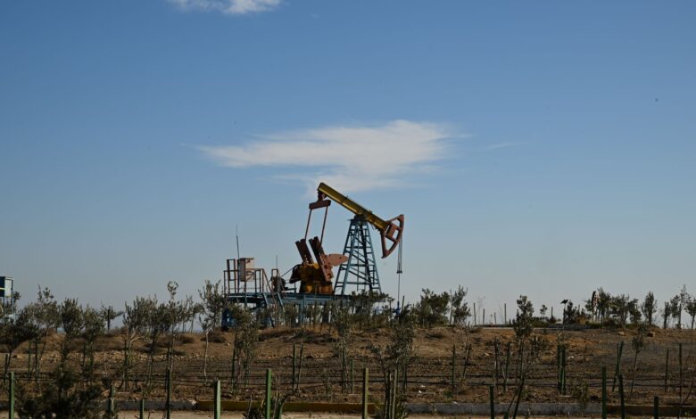 Oil pump jack operating in an open field at sunset, representing crude oil production and royalty income streams