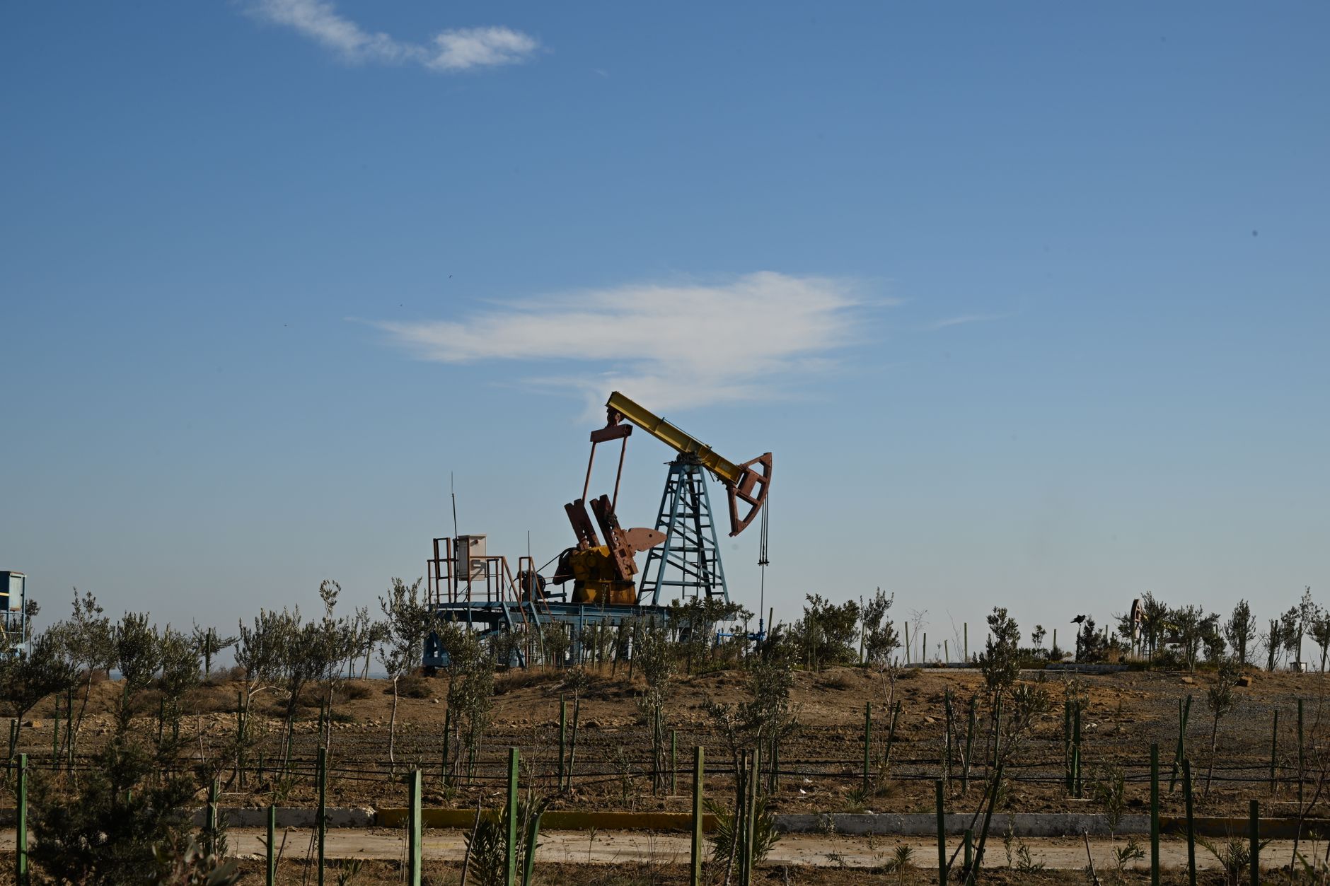 Oil pump jack operating in an open field at sunset, representing crude oil production and royalty income streams