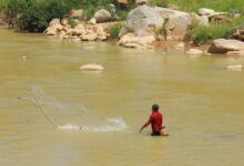 A clear freshwater river with forested banks representing fishing rights investments