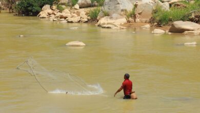 A clear freshwater river with forested banks representing fishing rights investments
