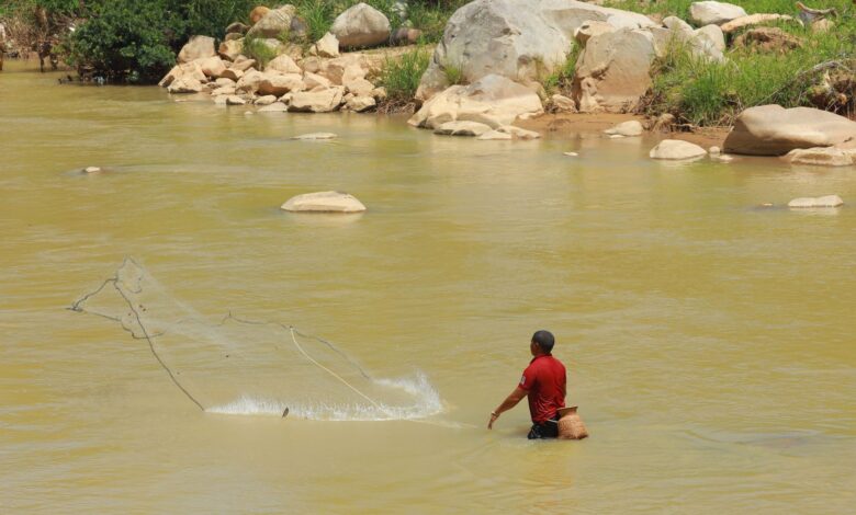 A clear freshwater river with forested banks representing fishing rights investments