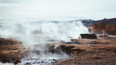 Steam rising from geothermal vents across open land in a volcanic region
