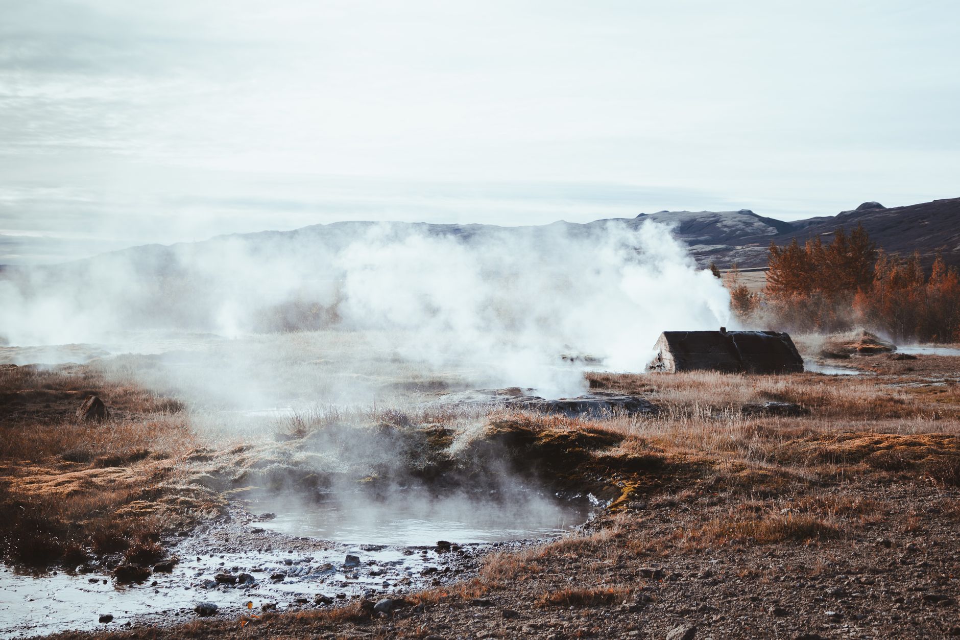 Steam rising from geothermal vents across open land in a volcanic region
