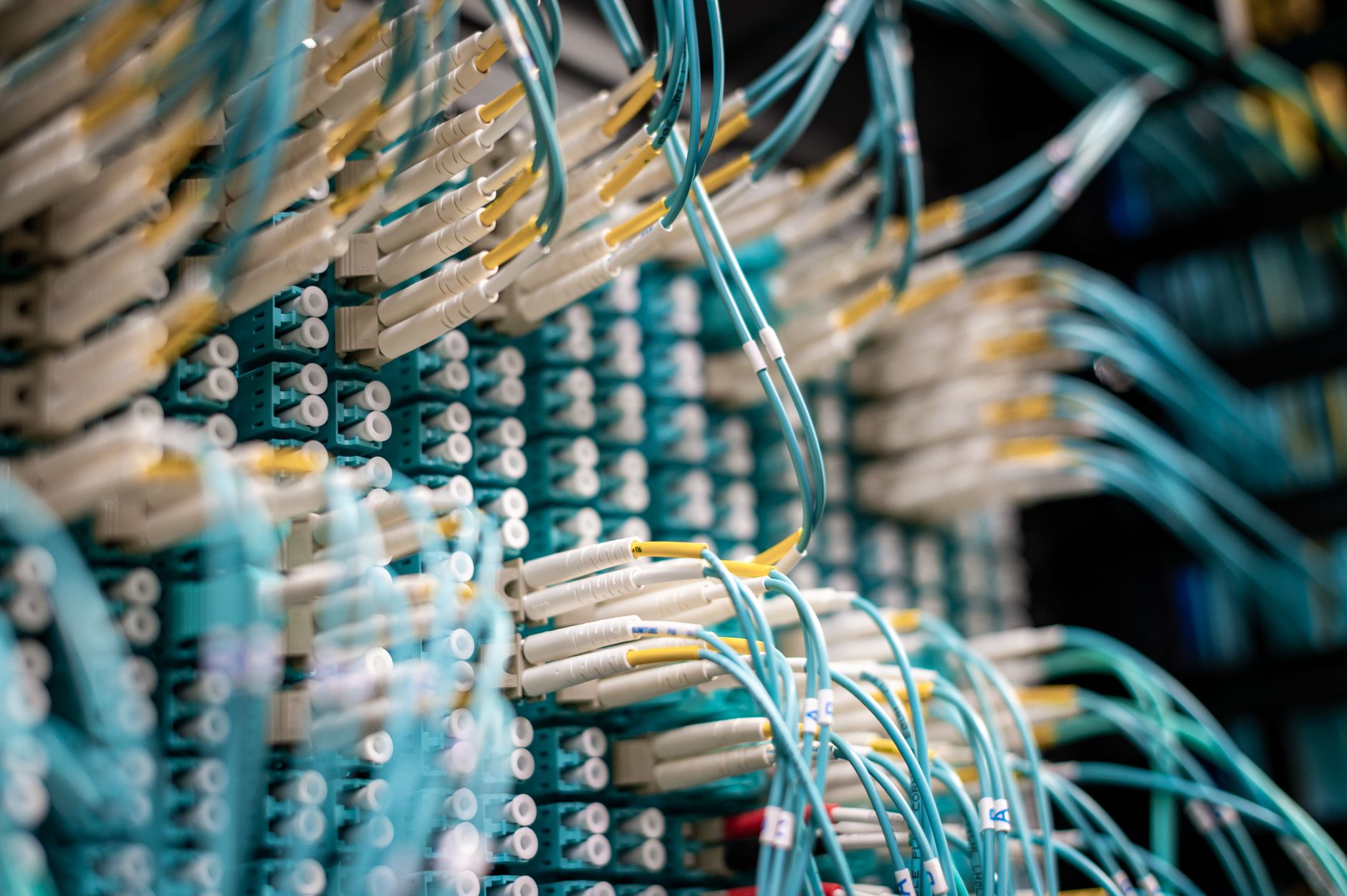 Close-up of fiber optic cables used in telecommunications infrastructure