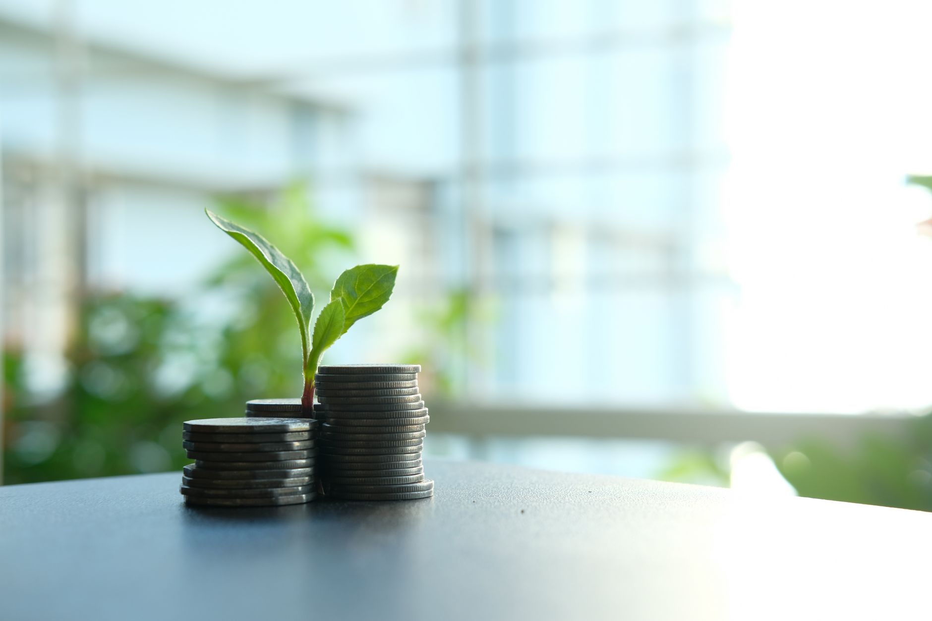 A private office setting representing family office wealth management