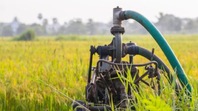Crude oil pump jack operating in an open field at sunset