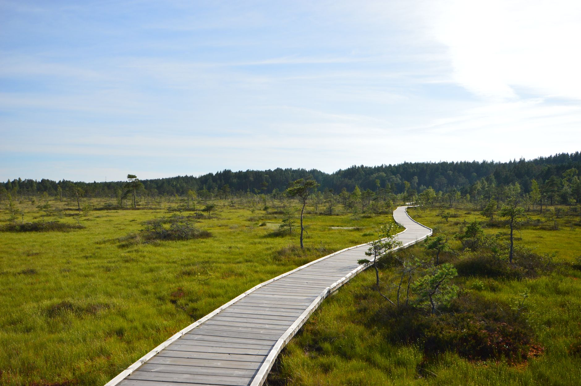 Expansive peat bog landscape with waterlogged terrain and low vegetation