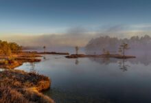 Wide view of a waterlogged peat bog landscape with low vegetation and overcast sky